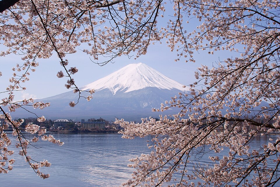 日本富士山与樱花